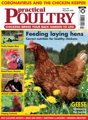 May/June 2020 issue May/June 2020