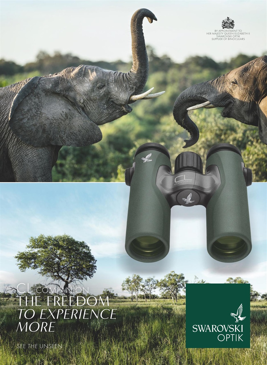 Lonely Planet Preview Pages