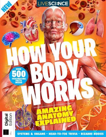 How Your Body Works issue How Your Body Works