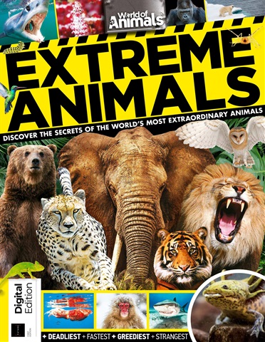 Extreme Animals issue Extreme Animals