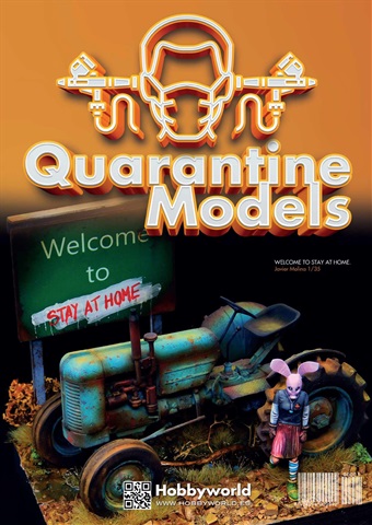 QUARANTINE MODELS issue QUARANTINE MODELS
