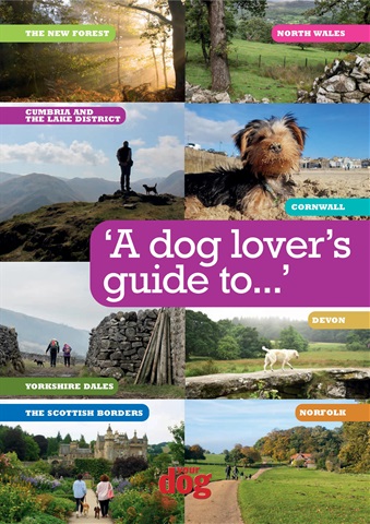 A dog lover's guide to... issue A dog lover's guide to...