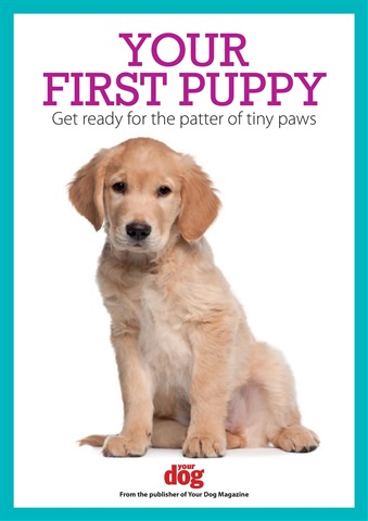 Your First Puppy issue Your First Puppy