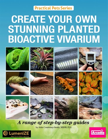 CREATE YOUR OWN STUNNING PLANTED BIOACTIVE VIVARIUM issue CREATE YOUR OWN STUNNING PLANTED BIOACTIVE VIVARIUM