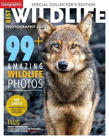 Canadian Geographic Best Wildlife Photography 2022 issue Canadian Geographic Best Wildlife Photography 2022