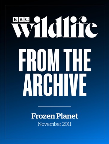 Frozen Planet Special  issue Frozen Planet Special 
