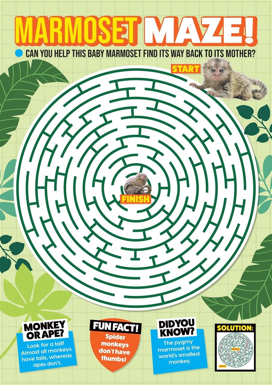 Animal Planet Kids Preview Pages