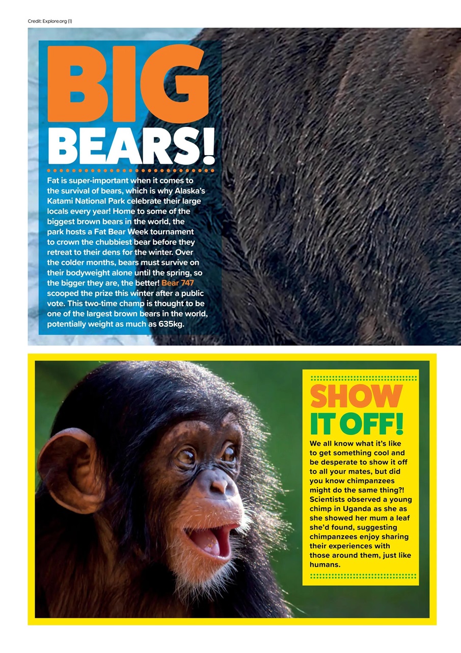 Animal Planet Kids Preview Pages
