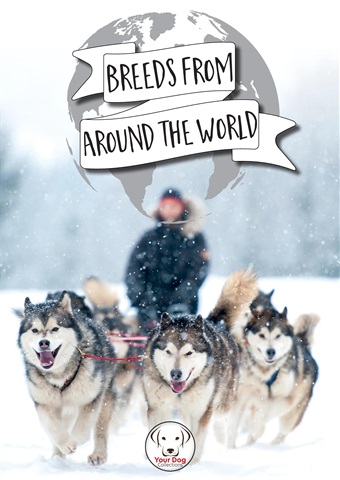 Dog Breeds From Around The World issue Dog Breeds From Around The World