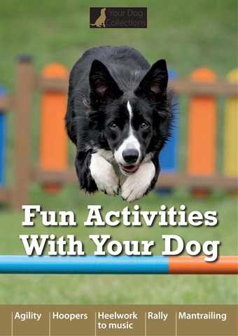 Fun Activities With your Dog issue Fun Activities With your Dog