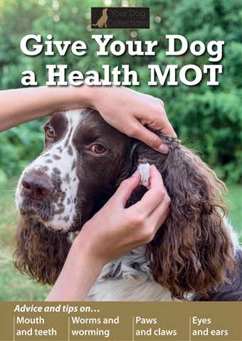 Give Your Dog a Health MOT issue Give Your Dog a Health MOT