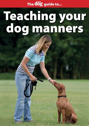 Teaching Your Dog Manners issue Teaching Your Dog Manners