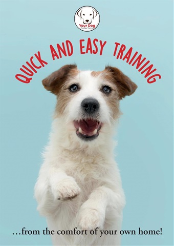 Quick and Easy Dog Training issue Quick and Easy Dog Training
