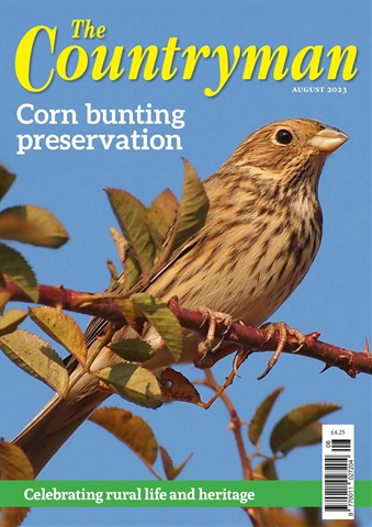 August 2023 issue August 2023