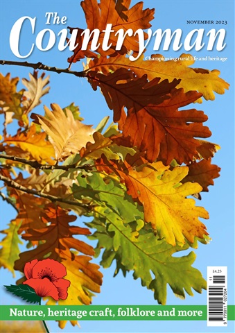 The Countryman issue November 2023