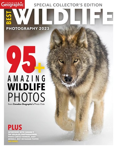 Canadian Geographic Best of Wildlife Photography 2023 issue Canadian Geographic Best of Wildlife Photography 2023