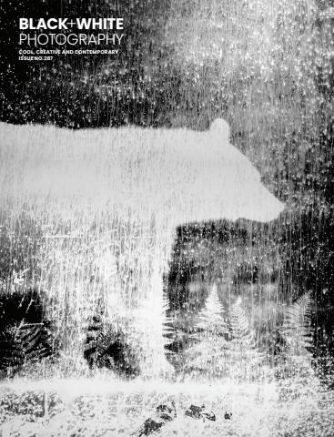 Sample Edition issue Sample Edition