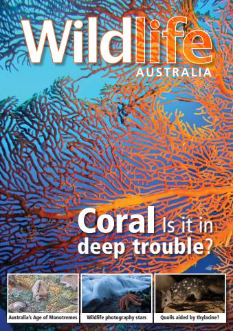 Winter 2024 issue Winter 2024