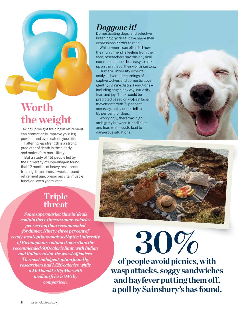 Psychologies Preview Pages