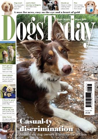 Issue 361 issue Issue 361