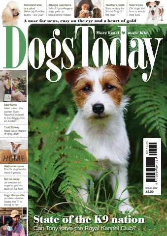 Issue 362 issue Issue 362