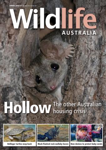 Spring 2024 issue Spring 2024