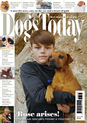 Issue 363 issue Issue 363