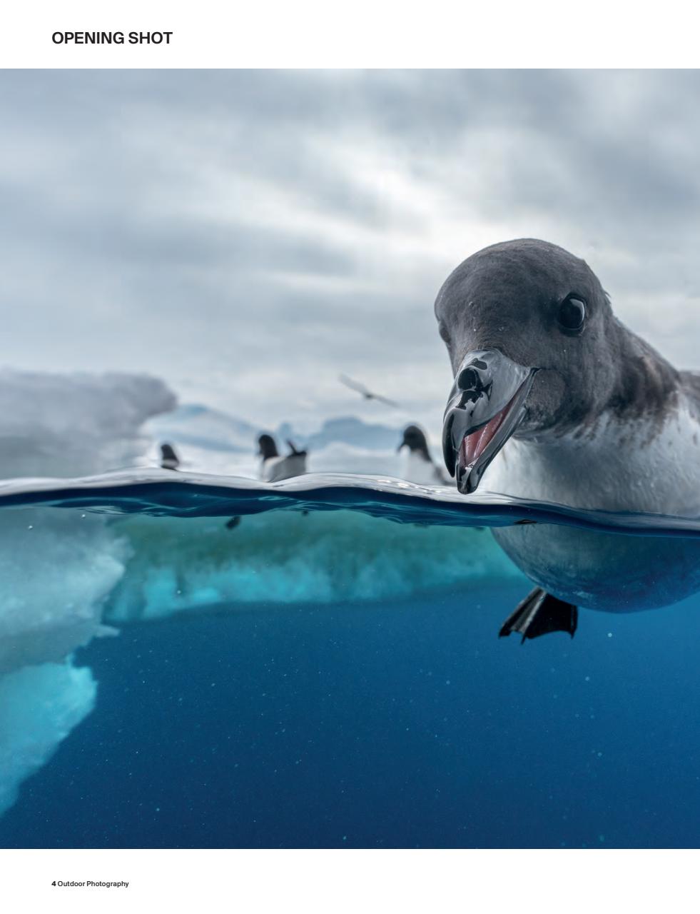 Outdoor Photography Preview Pages