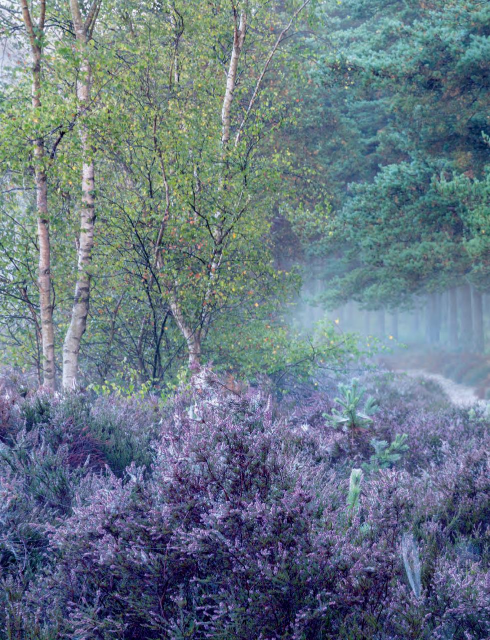 Outdoor Photography Preview Pages