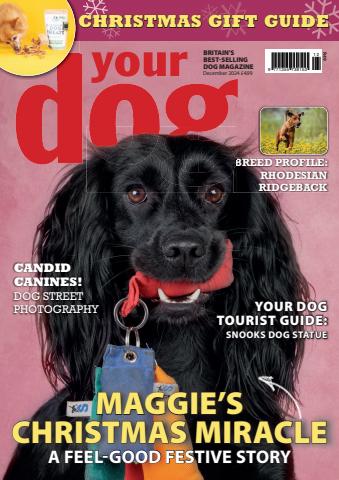 December 2024 issue December 2024