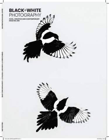 Issue 296 issue Issue 296