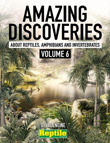 Amazing Discoveries 6 issue Amazing Discoveries 6