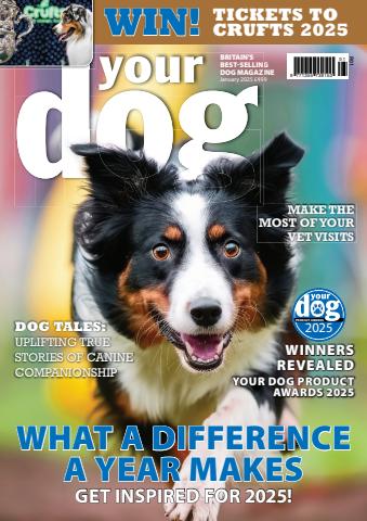 January 2025 issue January 2025