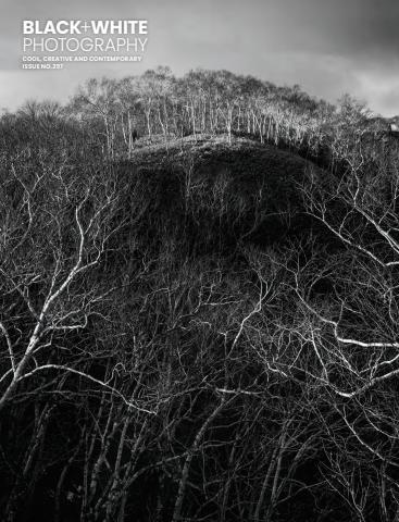 Issue 297 issue Issue 297