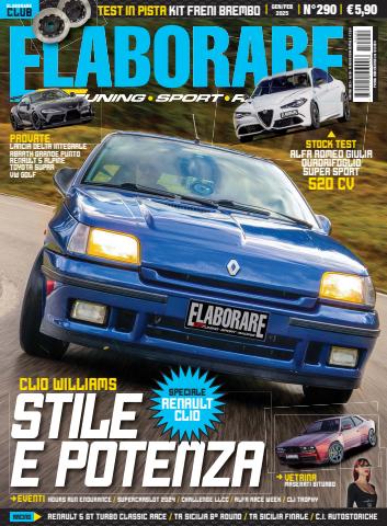 ELABORARE 290 - 2025 issue ELABORARE 290 - 2025