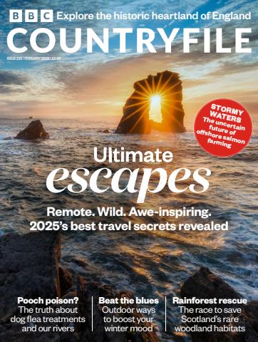 February 2025 issue February 2025