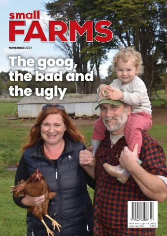 November 2024 issue November 2024