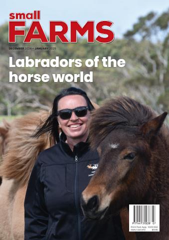 December 2024 issue December 2024