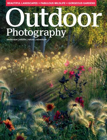 Issue 316 issue Issue 316