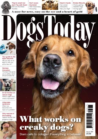 Issue 367 issue Issue 367