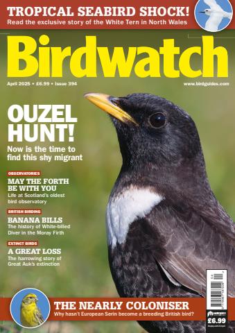 April 2025 issue April 2025