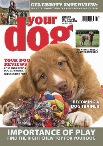 May 2025 issue May 2025