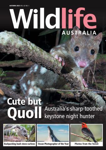 Autumn 2025 issue Autumn 2025