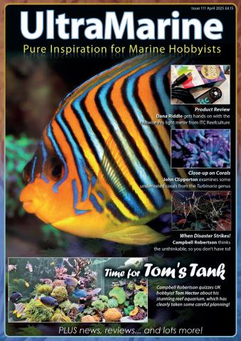 Apr/May 2025 issue Apr/May 2025