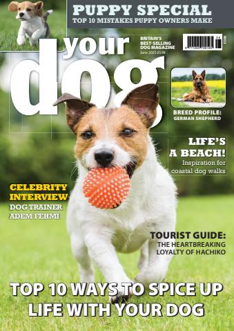 June 2025 issue June 2025