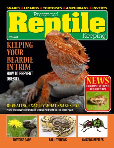 April 2025 issue April 2025