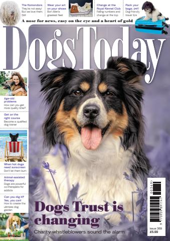 Issue 369 issue Issue 369