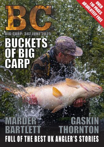 Big Carp 347 issue Big Carp 347
