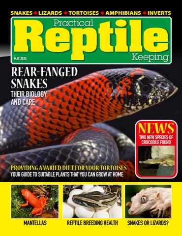 May 2025 issue May 2025