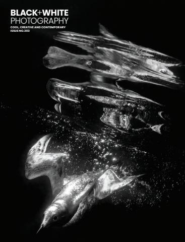 Issue 303 issue Issue 303